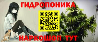 наркотики Ярославль