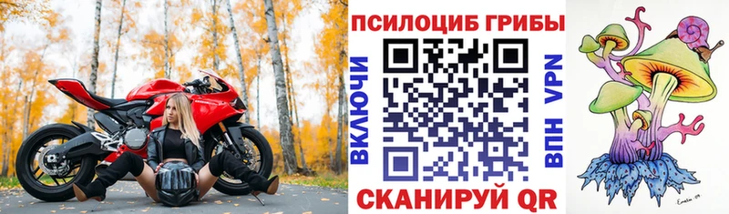 мега зеркало  Орск  Псилоцибиновые грибы ЛСД 