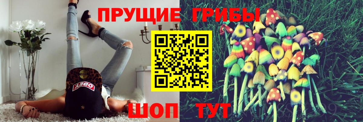 Орск  Псилоцибиновые грибы ЛСД  Вход с VPN 